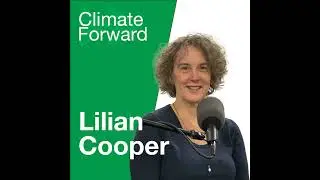 Art and Climate Change: Visualizing Rising Sea Levels and Urban Nature with Lilian Cooper