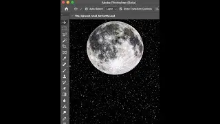 Creating Cat Collages With Matt McCarthy in #Photoshop Part 1 #shorts