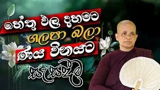 පූජනීය ධම්ම මෙත්තා මෙහෙණීන් වහන්සේ (2025 - 05 - 01 3.30pm)
