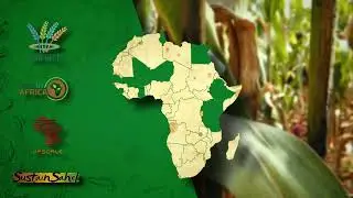 Paving the Way for Sustainable Agricultural Innovations in Africa