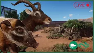 building for the okapi in planet zoo live!