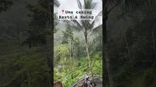 Uma Ceking Resto & Swing, Rice terrace Tegalalang #ubud Bali swing