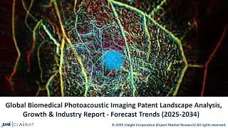 Biomedical Photoacoustic Imaging Patent Landscape Report 2025 | Market Trends and Forecast