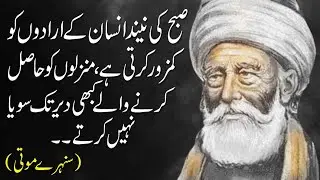 sunehray moti, aqwal e zareen,best urdu quotes, quotes in urdu whatsapp status,