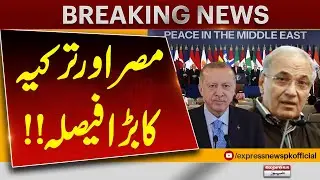 Egypt and T&uuml;rkiye Take a Major Decision | Regional Impact Explained | Pakistan News