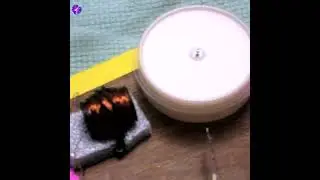 Homemade Pulse Motor and reed switch