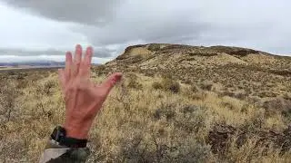Upland Bird Hunting Paisley Oregon