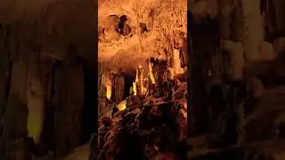 Active Stalagmite formation in a million years old cave. #nature #naturalwonder #geology #travel