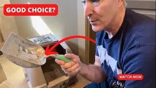 DuraScoop&reg; Premium Multicat Cat Litter Scoop (Genuine Review)