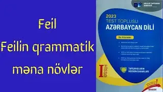 Feilin qrammatik məna növləri. Azərbaycan dili test toplusu