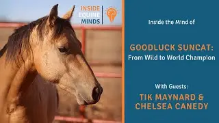 Inside the Mind of Goodluck Suncat: From Wild to World Champion