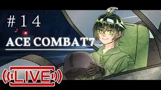 [エースコンバット配信Part14]ネームド撃破チャレンジ！主観プレイ！