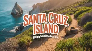Santa Cruz Island, California: Hiking, Wildlife, and Adventure in the Channel Islands