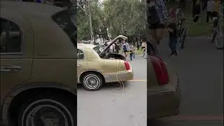 Picnic Lowrider mensual 🚘🚲🕸️#lowrider #lowriderbikes #lowriderculture #lowridercars