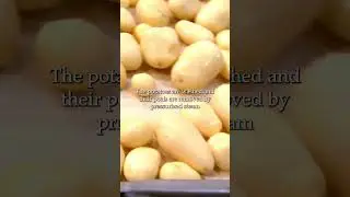 How it's made- French Fries I Washington Grown