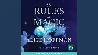 Chapter 4.8 - The Rules of Magic