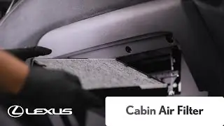 Lexus Service - Cabin Air Filter | Lexus