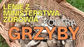 Lenie z Ministerstwa Zdrowia nie potrafią ogarnąć nowej listy grzybów