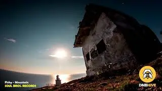 Fishy - Mountain - Soul Bros. Recordings