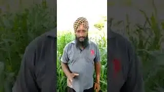 Farmers Bill 2020 | A True Farmer Speaks