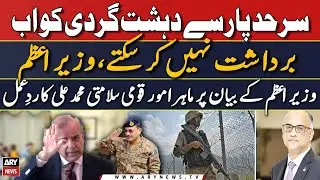National Security Affairs Specialist Muhammad Ali reacts on PM's statement
