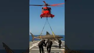 🚁 Rescue Helicopter Saves Giant Great White Shark #ai #animals #beach #funny #video