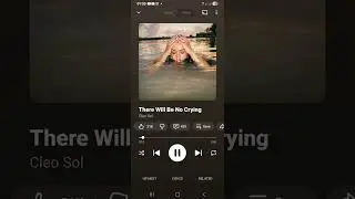 Cleo Sol - There Will Be No Crying (BTFV AMAPIANO REMIX)