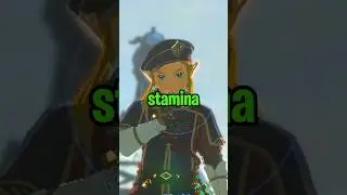 Sprint WITHOUT LOSING STAMINA in Tears of the Kingdom!