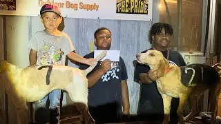 Flower Hill Fox Preserve Money Hunt At Night #foxpen #deerdogs 8/27
