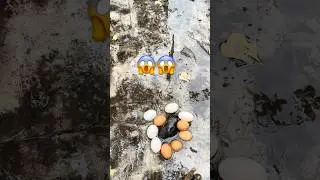 Black crab protects eggs#shorts #short #shortvideo #shorts feed#shortsvideo #crab #crabs