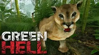 HUNTING A PUMA! Green Hell Survival Episode 9