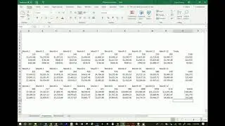 Final Revenue/Expense/Profit Projection Excel