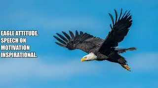 Eagle attitude|  Motivational inspirational  Speech on Motivation | How to be like Eagle 2021