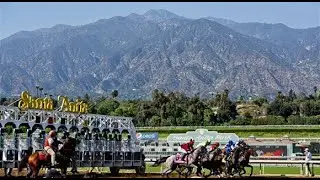 Santa Anita Selections January 31, 2026