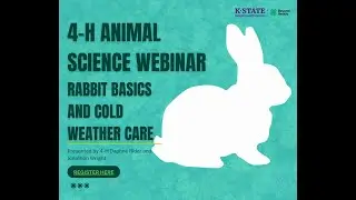 Animal Science Webinar:  Rabbit Basics and Cold Weather Care