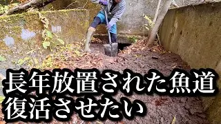 【魚道開通】長年放置され続けた魚道を復活させたい【誰もやらないなら俺達がやる】