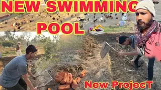 Swimming Pool Making Start In Open Farm | New Disease In Chicken 🐓 | Mr Asad 