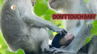 JANE WARNING JANET DO NOT DISTURB BABY