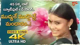 Mudduke Muddocche Mandaram Song 4K | Pradeep and Purnima | Mudda Mandaram Movie | Old Telugu Songs