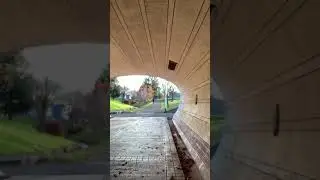 レッドシダーウッド　ラブフルートS③