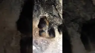 Bat cave in Nahal Amud