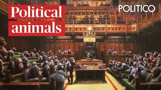 Political animals: How politicians and apes topple their leaders
