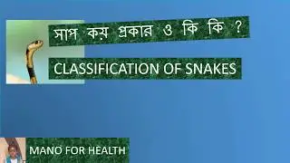 SNAKE FAMILY IN ENGLISH