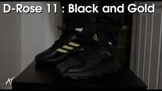 Adidas D Rose 11 Black and Gold Review