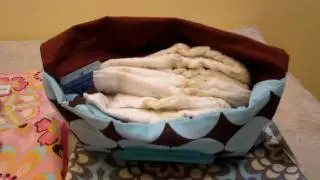 The Diaper Clutch