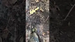 Home made worm farm