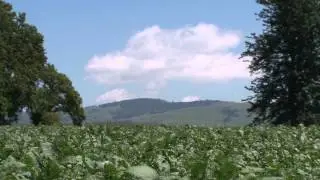 Africa's Agricultural Potential - Market Journal - March 8, 2013