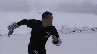 liangchaoqun ziranmen chaoshou. Exercice du style naturel aux anneaux d'acier.