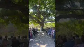 The perfect wedding venue in Napa California