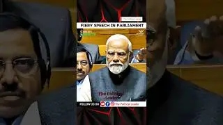 Sanjay Singh Fiery Speech in Parliament || The Political Leader #parliament #sanjaysingh